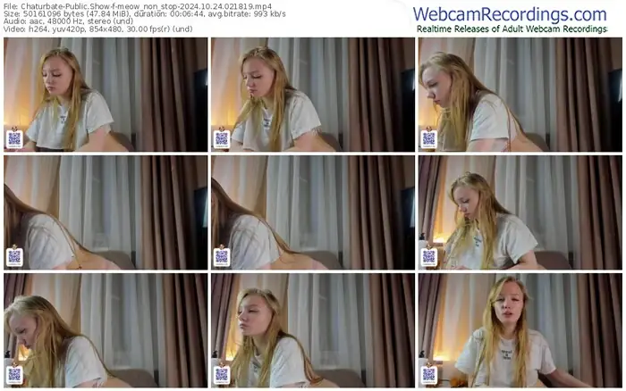 2024/10/24/chaturbate-meow_non_stop-02-18-19