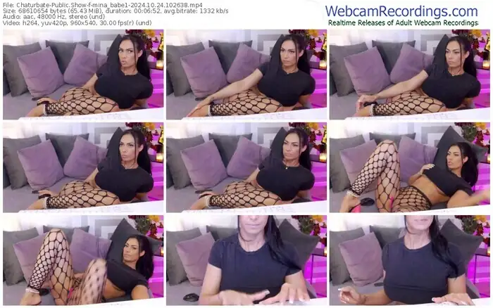 2024/10/24/chaturbate-mina_babe1-10-26-38