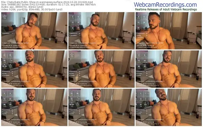 2024/10/24/chaturbate-wannaseeyourface-10-16-28