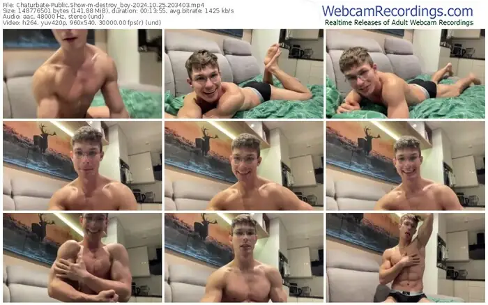 2024/10/25/chaturbate-destroy_boy-20-34-03