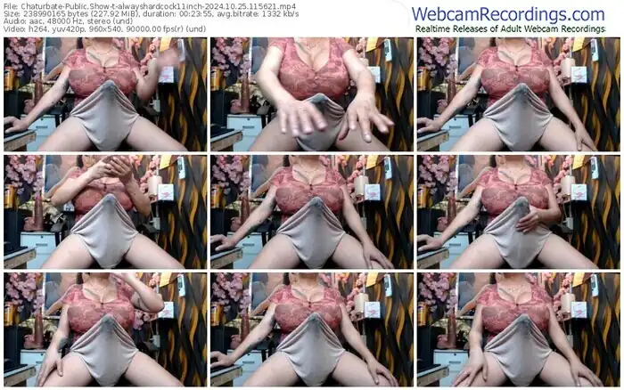 2024/10/25/chaturbate-alwayshardcock11inch-11-56-21