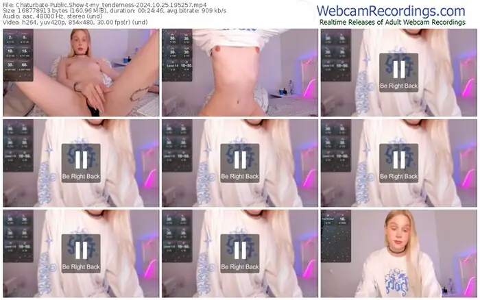 2024/10/25/chaturbate-my_tenderness-19-52-57