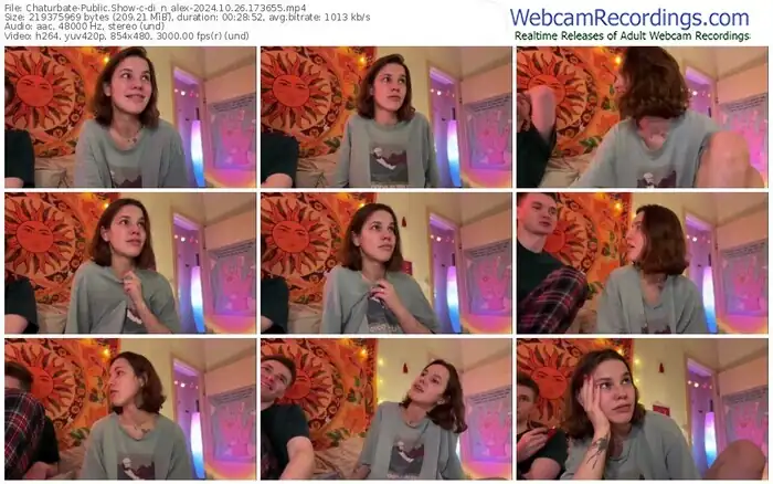 2024/10/26/chaturbate-di_n_alex-17-36-55