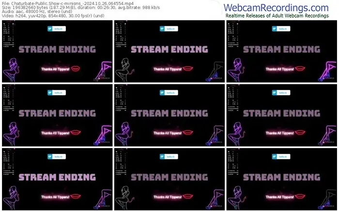 2024/10/26/chaturbate-minions_-06-45-54