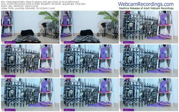 2024/10/26/chaturbate-calypso_and_ge1-21-08-54