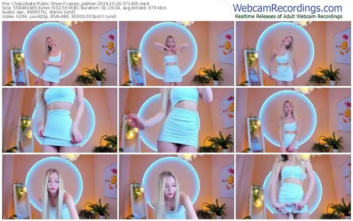 2024/10/26/chaturbate-cassie_palmer-07-14-05