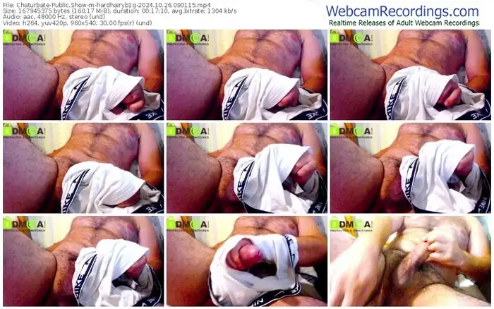 2024/10/26/chaturbate-hardhairyb1g-09-01-15