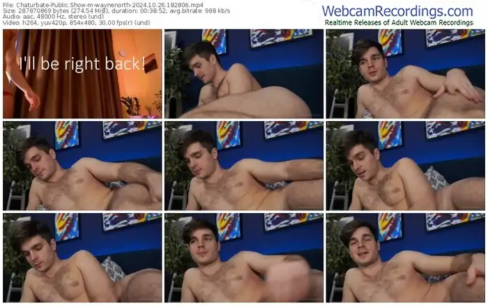 2024/10/26/chaturbate-waynenorth-18-28-06