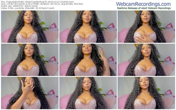 2024/10/27/chaturbate-goofyshygirl1-23-29-40