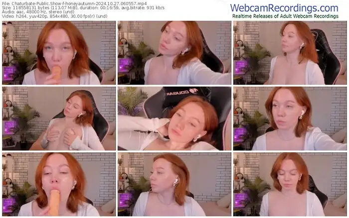 2024/10/27/chaturbate-honeyautumn-06-05-57