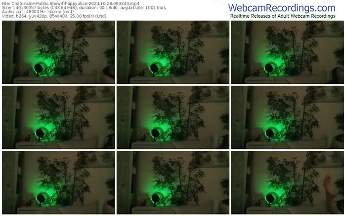 2024/10/28/chaturbate-happyalice-09-33-43