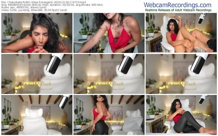 2024/10/28/chaturbate-meegan1-17-47-23