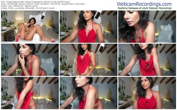 2024/10/28/chaturbate-meegan1-20-39-03