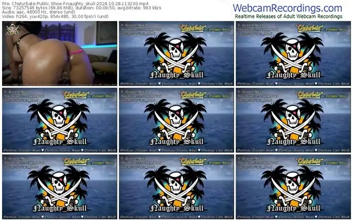 2024/10/28/chaturbate-naughty_skull-11-32-30