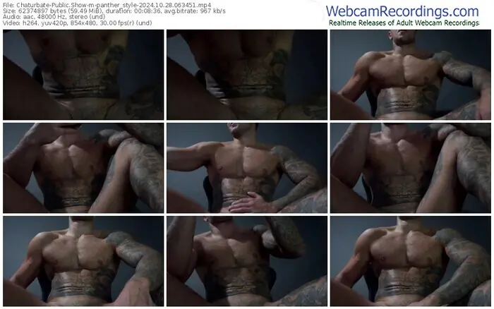 2024/10/28/chaturbate-panther_style-06-34-51