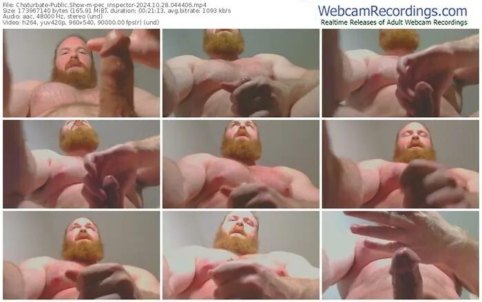 2024/10/28/chaturbate-pec_inspector-04-44-06