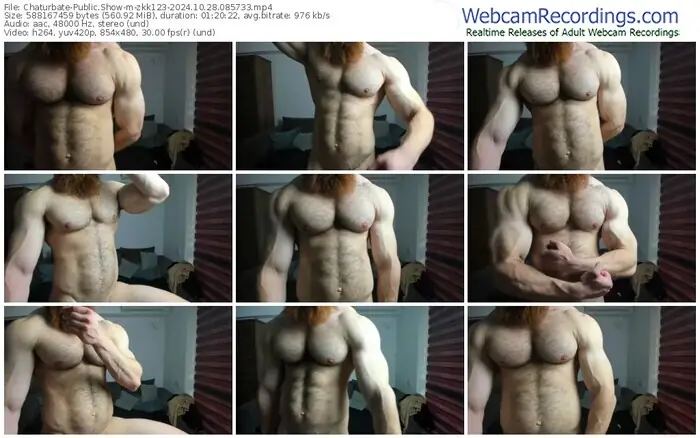 2024/10/28/chaturbate-zkk123-08-57-33