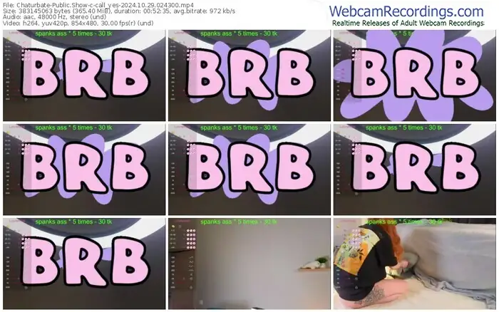 2024/10/29/chaturbate-call_yes-02-43-00