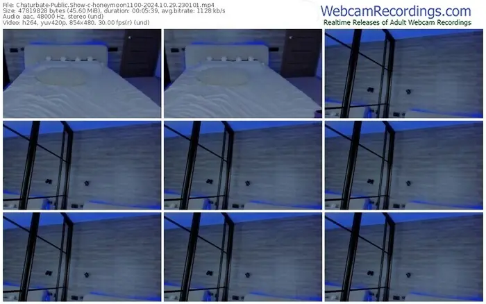 2024/10/29/chaturbate-honeymoon1100-23-01-01