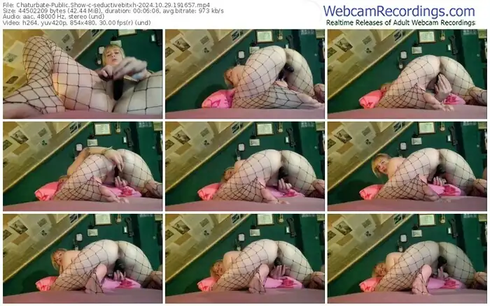 2024/10/29/chaturbate-seductivebitxh-19-16-57