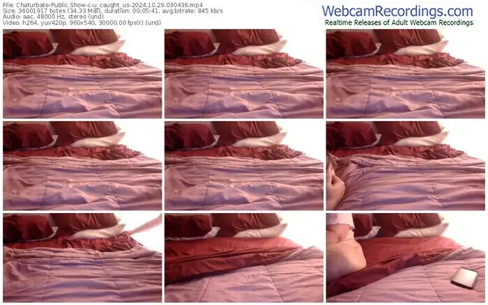 2024/10/29/chaturbate-u_caught_us-03-04-36