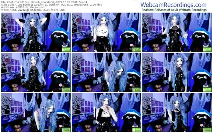 2024/10/29/chaturbate-_sparkland_-23-01-15