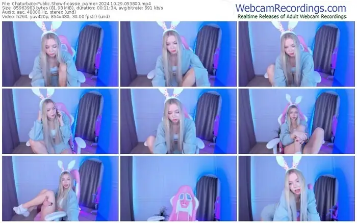 2024/10/29/chaturbate-cassie_palmer-09-38-00
