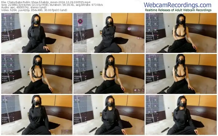 2024/10/29/chaturbate-habibi_moon-03-05-55