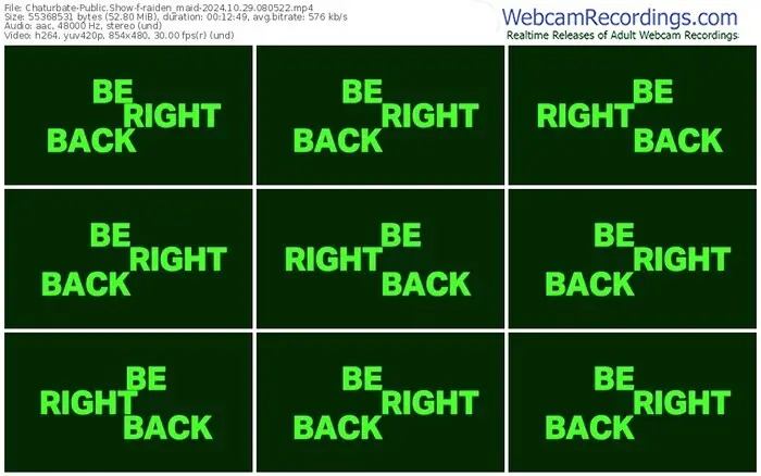 2024/10/29/chaturbate-raiden_maid-08-05-22