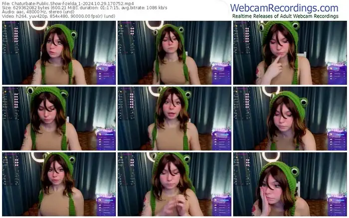 2024/10/29/chaturbate-zelda_1-17-07-52