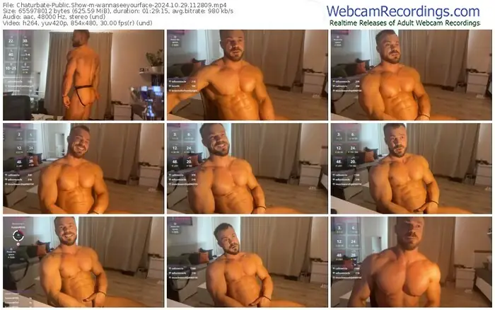 2024/10/29/chaturbate-wannaseeyourface-11-28-09