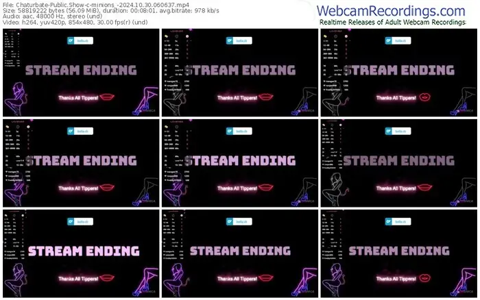 2024/10/30/chaturbate-minions_-06-06-37