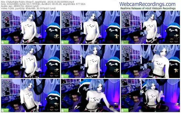2024/10/30/chaturbate-_sparkland_-03-49-04