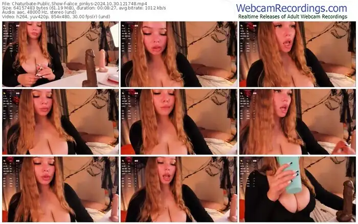 2024/10/30/chaturbate-alice_pinkys-12-17-48