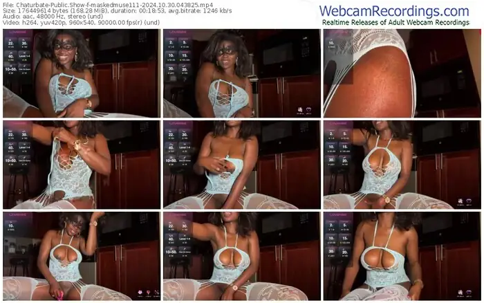 2024/10/30/chaturbate-maskedmuse111-04-38-25