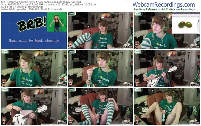 2024/10/30/chaturbate-nami3neko-02-43-47