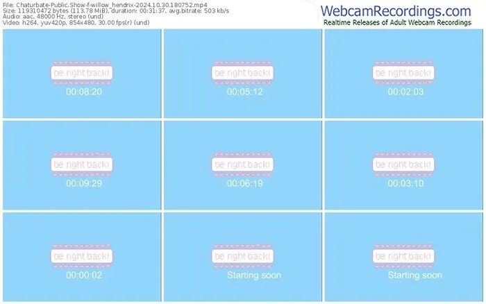 2024/10/30/chaturbate-willow_hendrix-18-07-52