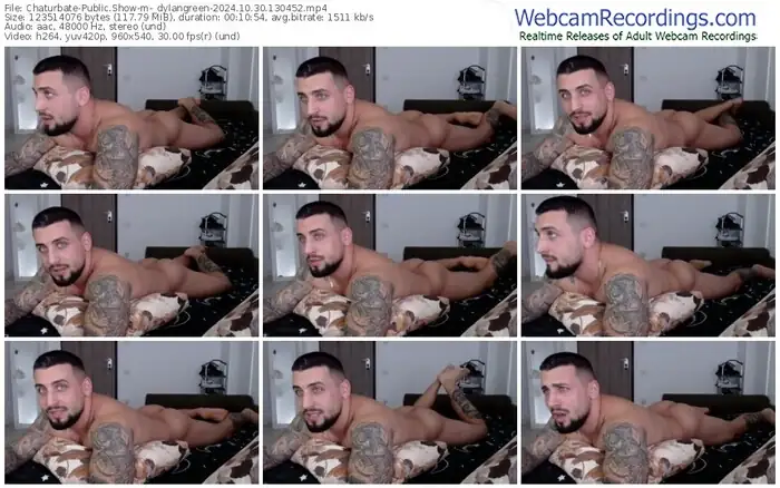 2024/10/30/chaturbate-_dylangreen-13-04-52