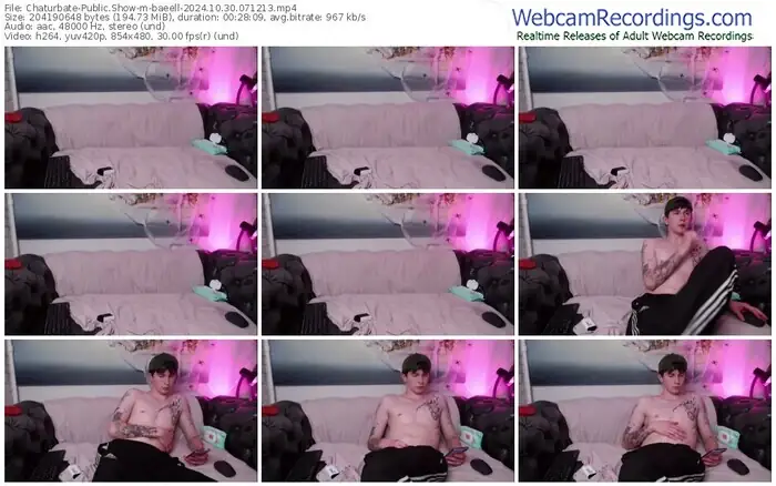 2024/10/30/chaturbate-baeell-07-12-13