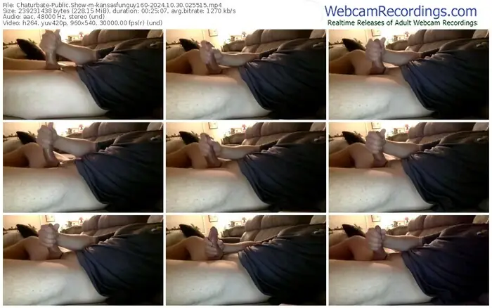 2024/10/30/chaturbate-kansasfunguy160-02-55-15