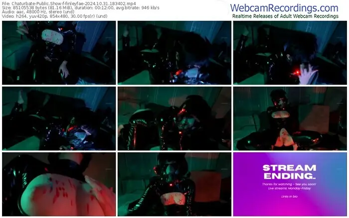 2024/10/31/chaturbate-finleyfae-18-34-02