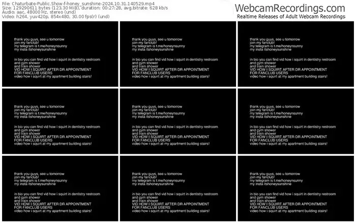 2024/10/31/chaturbate-honey_sunshine-14-05-29