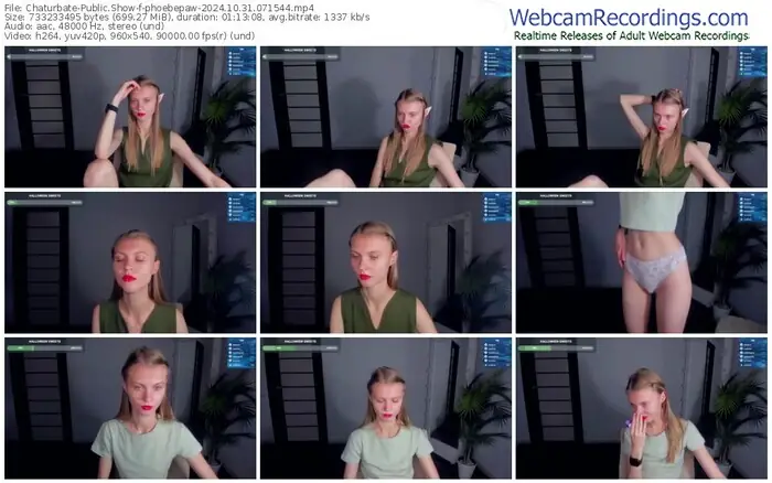 2024/10/31/chaturbate-phoebepaw-07-15-44