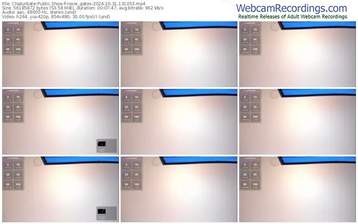 2024/10/31/chaturbate-roxie_gates-13-10-53