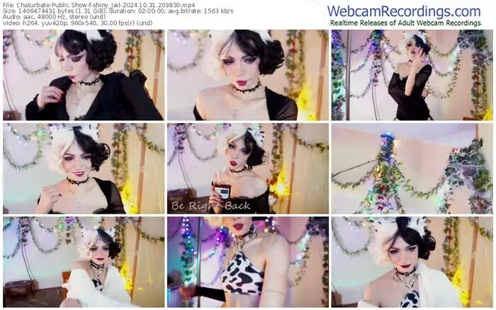 2024/10/31/chaturbate-shiny_jail-20-38-30