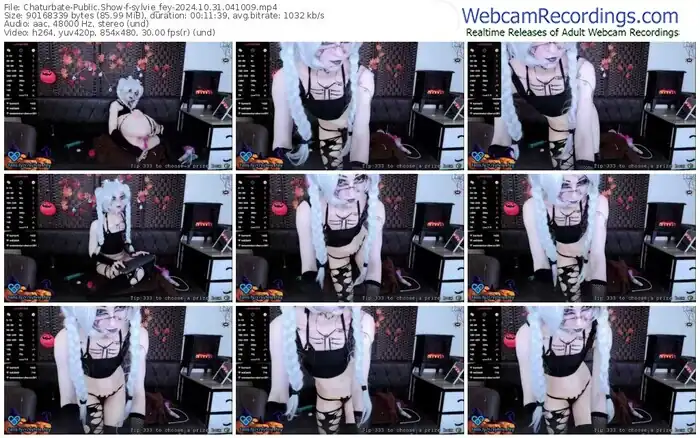 2024/10/31/chaturbate-sylvie_fey-04-10-09