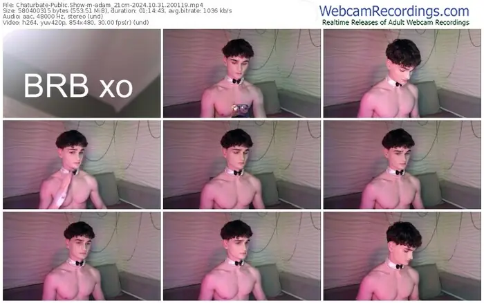 2024/10/31/chaturbate-adam_21cm-20-01-19