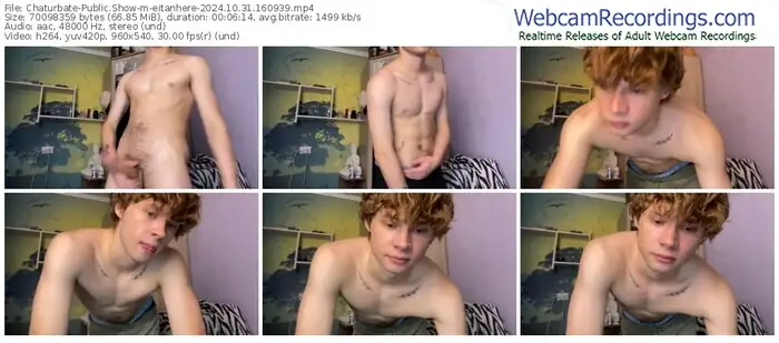 2024/10/31/chaturbate-eitanhere-16-09-39