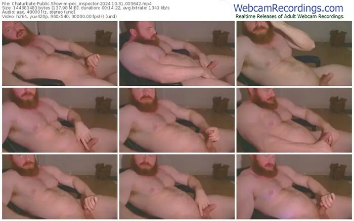 2024/10/31/chaturbate-pec_inspector-00-36-42