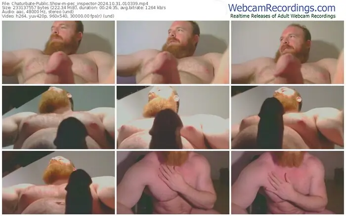 2024/10/31/chaturbate-pec_inspector-01-03-39
